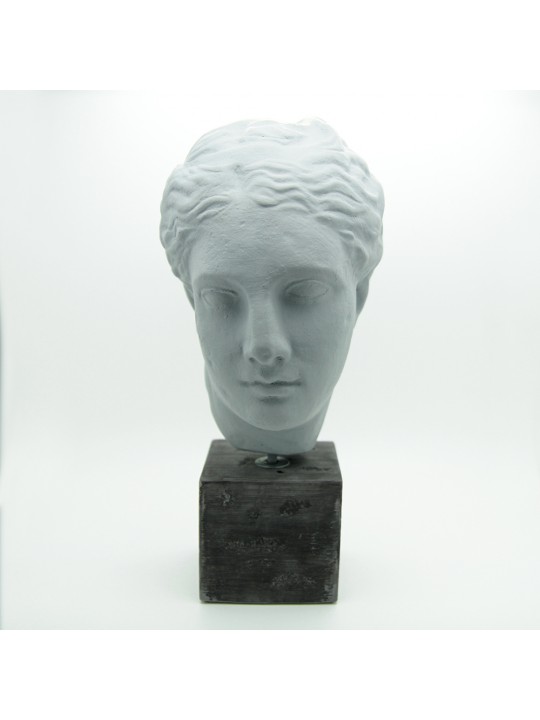 HEAD OF HYGEIA - GREY