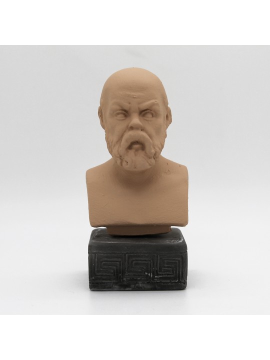 HEAD OF SOCRATES