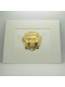 GOLDEN GORGONEIO