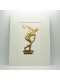 DISCUS THROWER
