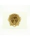 GOLDEN GORGONEIO