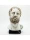 HEAD OF IPPOCRATES