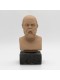 HEAD OF SOCRATES